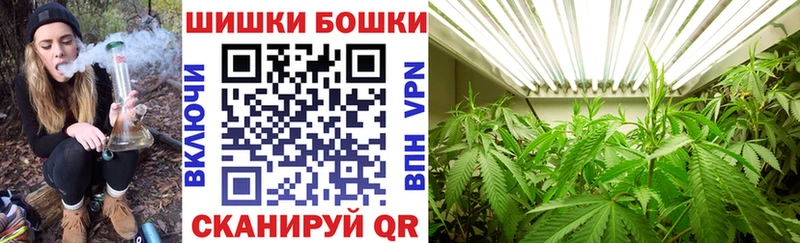 Канабис план  где купить наркоту  Ленинградская 